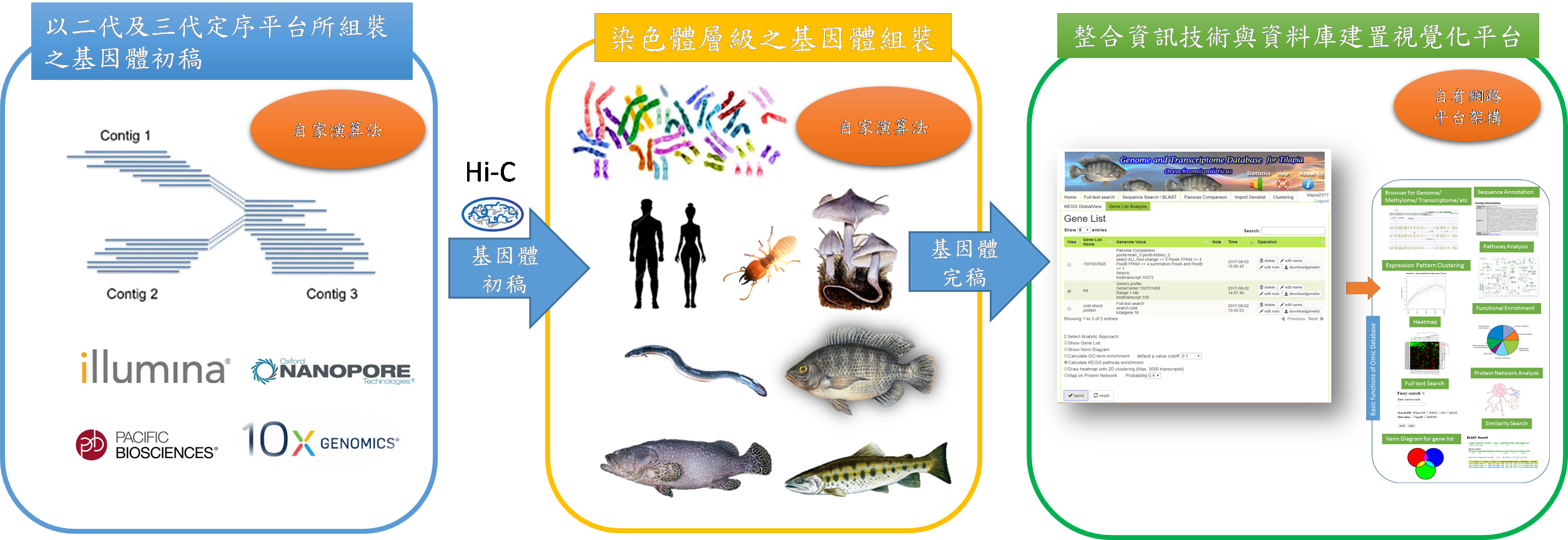 Assemble and Annotate Economically Important Genome in Chromosome -level and Implement Integrated Online Databases