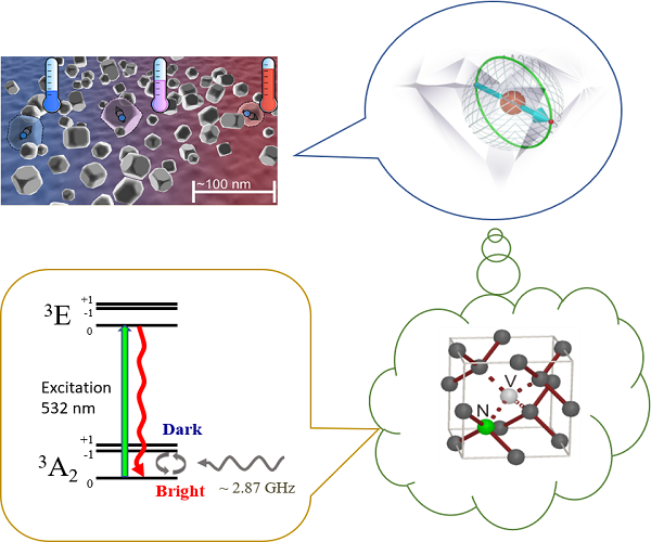 New Bright Spot: Quantum Sensing with Nanodiamonds