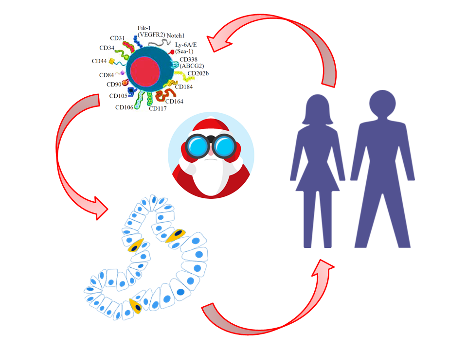 Things To Know About Stem Cell Treatments