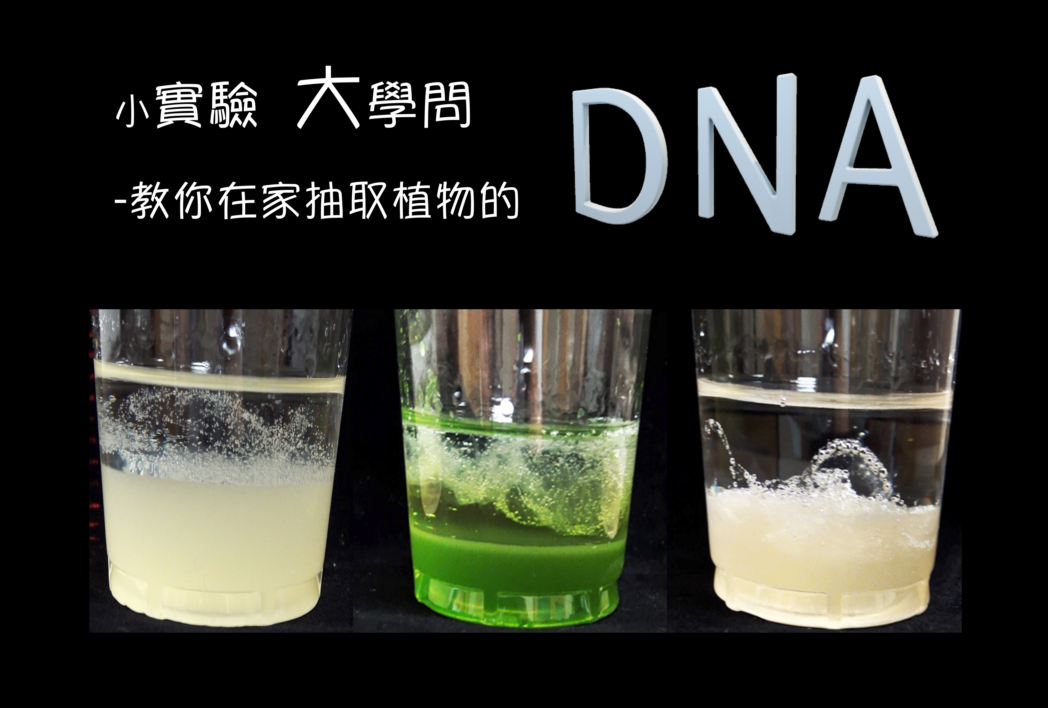 小實驗 大學問-教你在家抽DNA