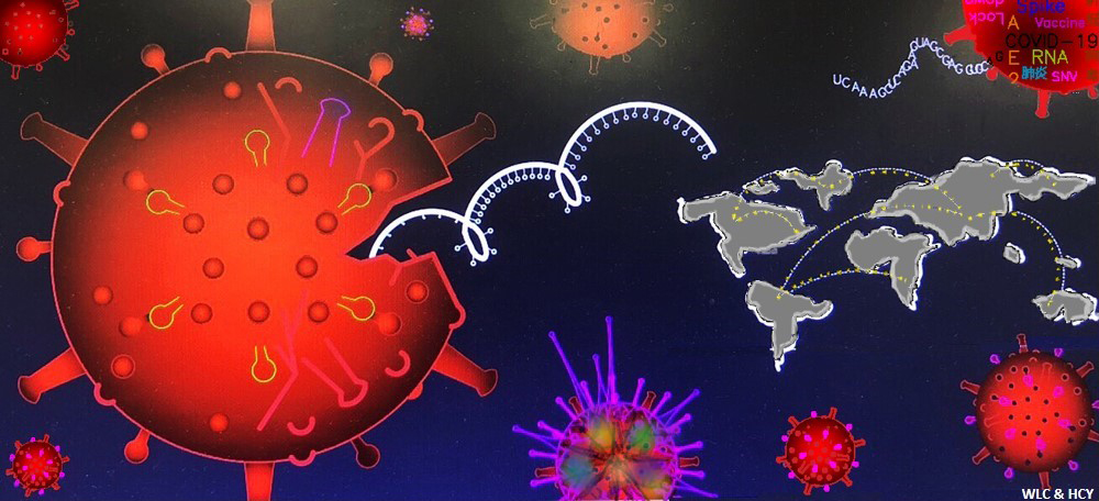 Big data analytics for SARS-CoV-2 genome sequences