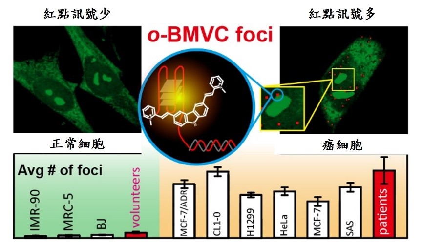 Detection of cancer cells by fluorescent small molecules – a new technology for cancer diagnosis