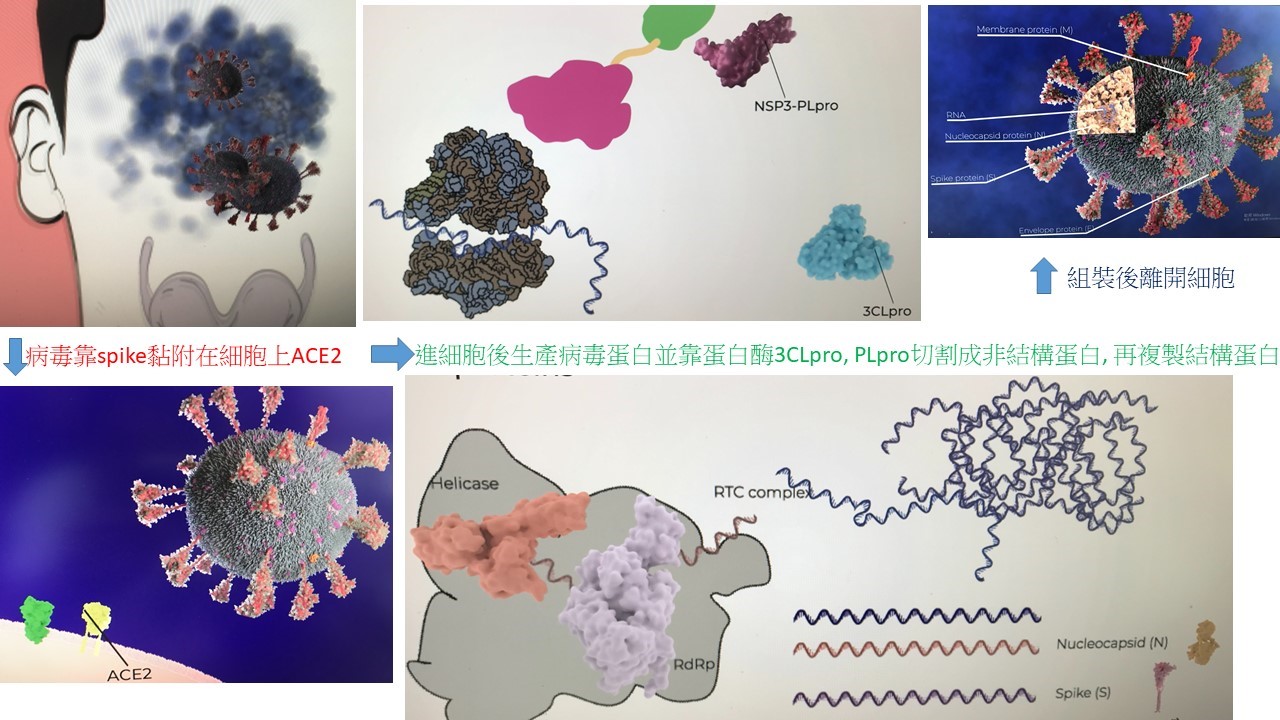 OverviewOverview of current COVID-19 drug research of current COVID-19 drug research