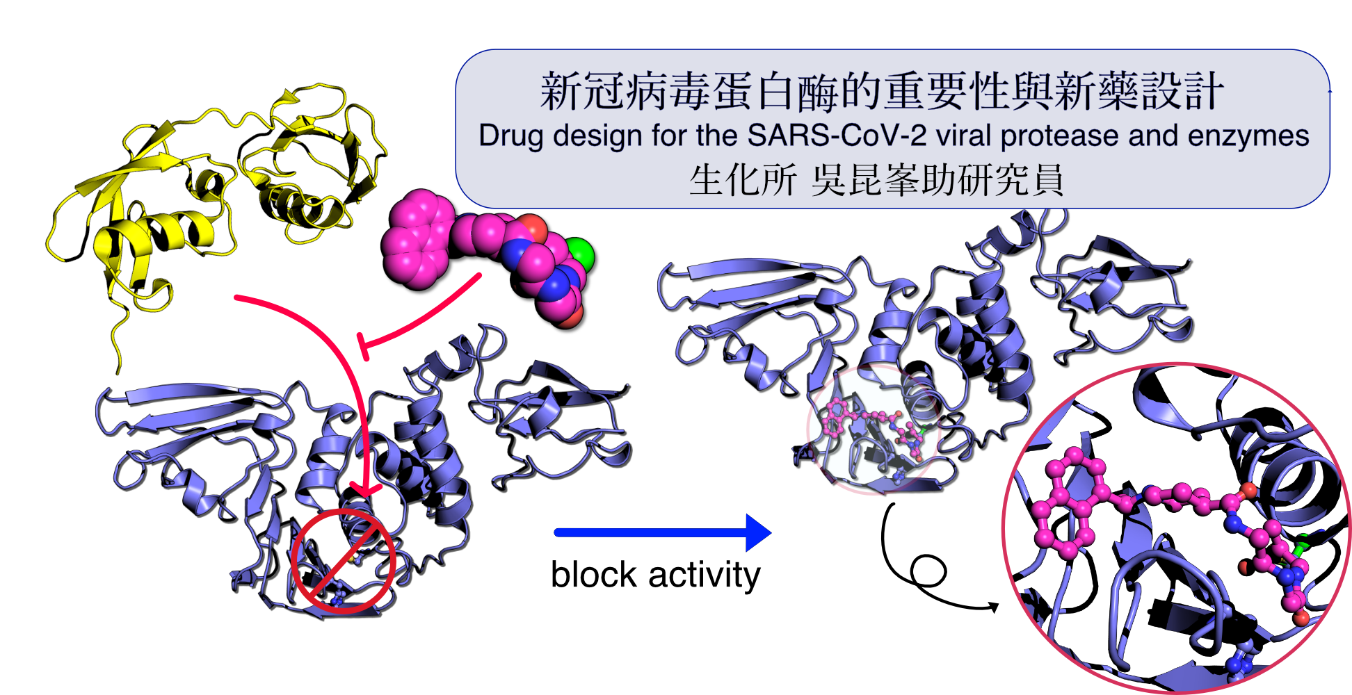 Drug design for the SARS-CoV-2 viral protease and enzymes