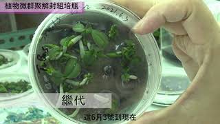 Tissue culture, decrypted 