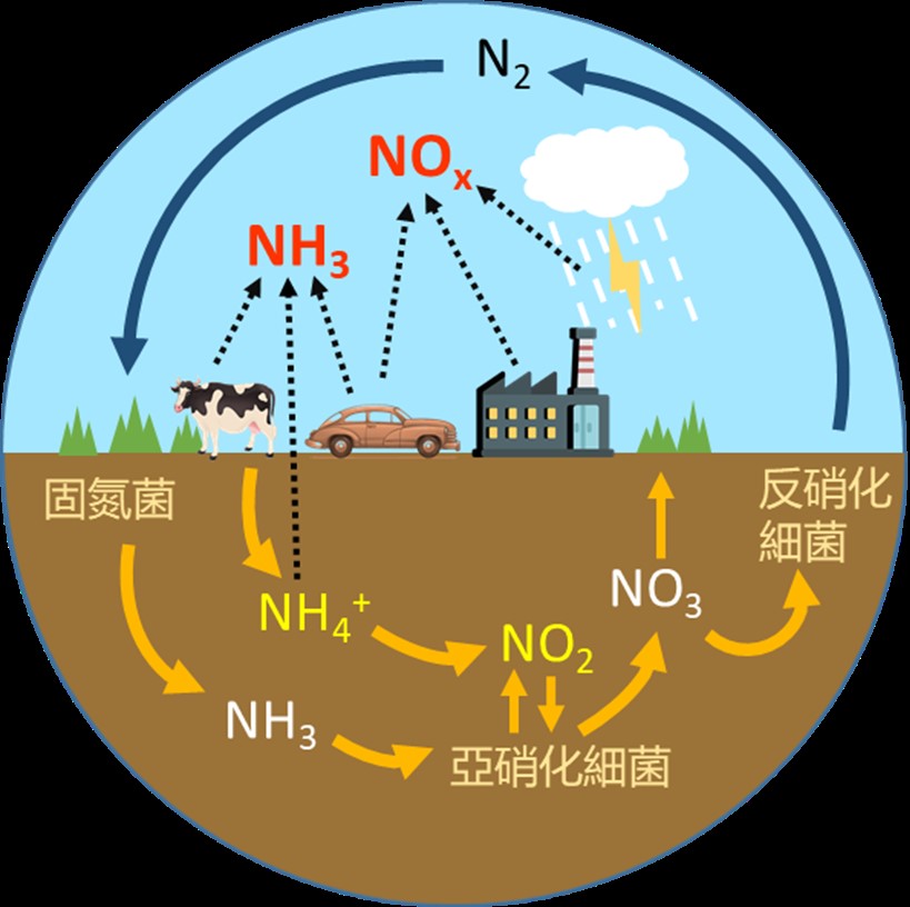 氮循環與大氣中含氮污染物(NH3, NOx)之檢測