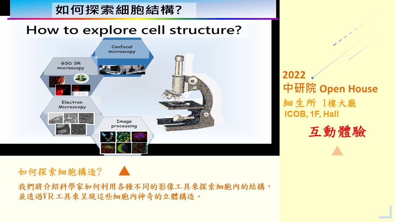 如何探索細胞構造?