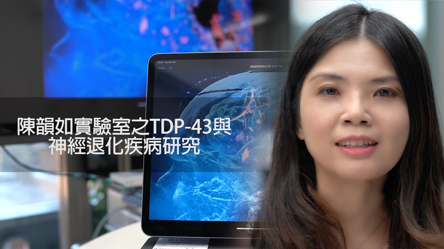 闡明TDP-43在阿滋海默症中的角色