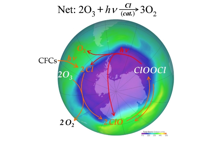 Photochemical cause of the ozone hole