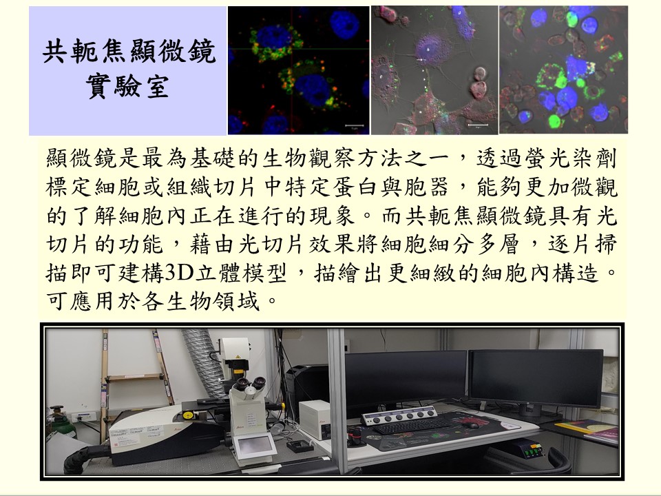實驗室參觀: 共軛焦顯微鏡實驗室