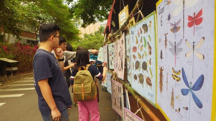 生態展演及闖關遊戲