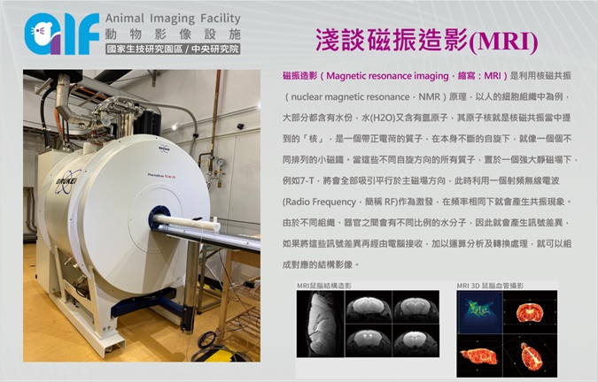 淺談磁振造影(MRI)