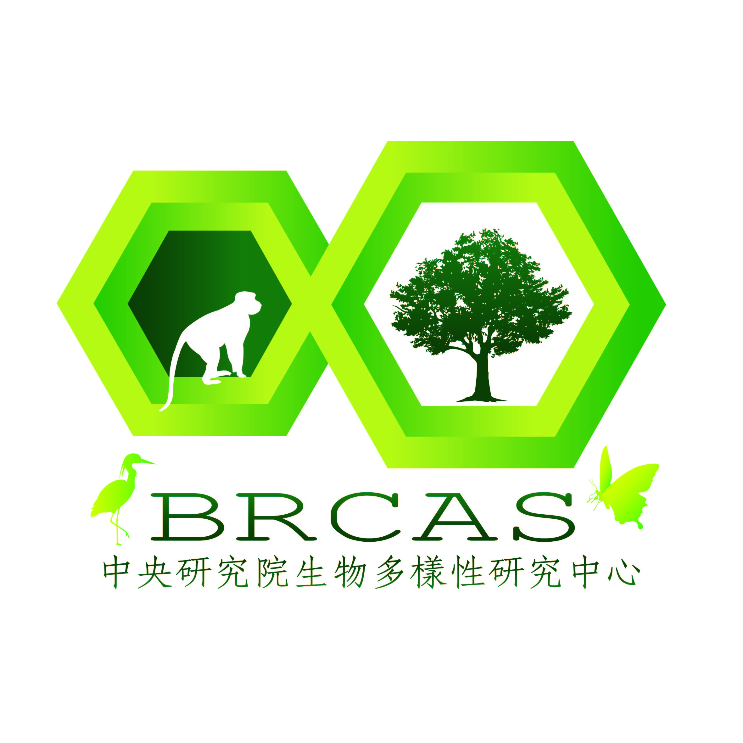 闖關大挑戰-用人工智慧來看多采多姿的生物形態