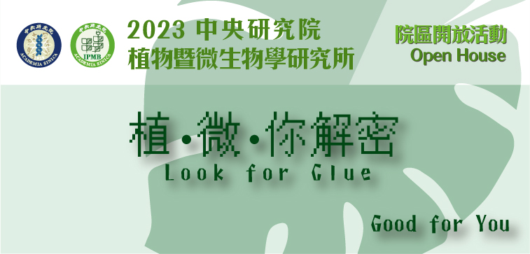 植微你解密