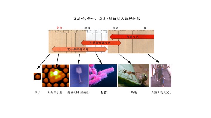 從原子/分子、病毒/細菌到人類與地球