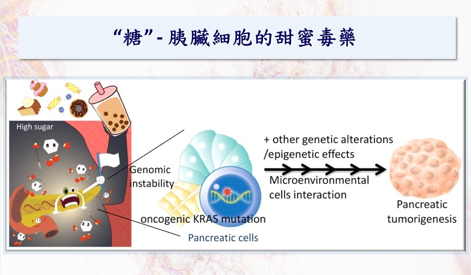 “Sugar”, a Sweet Poison of Pancreatic cells, Initiates Tumorigenesis