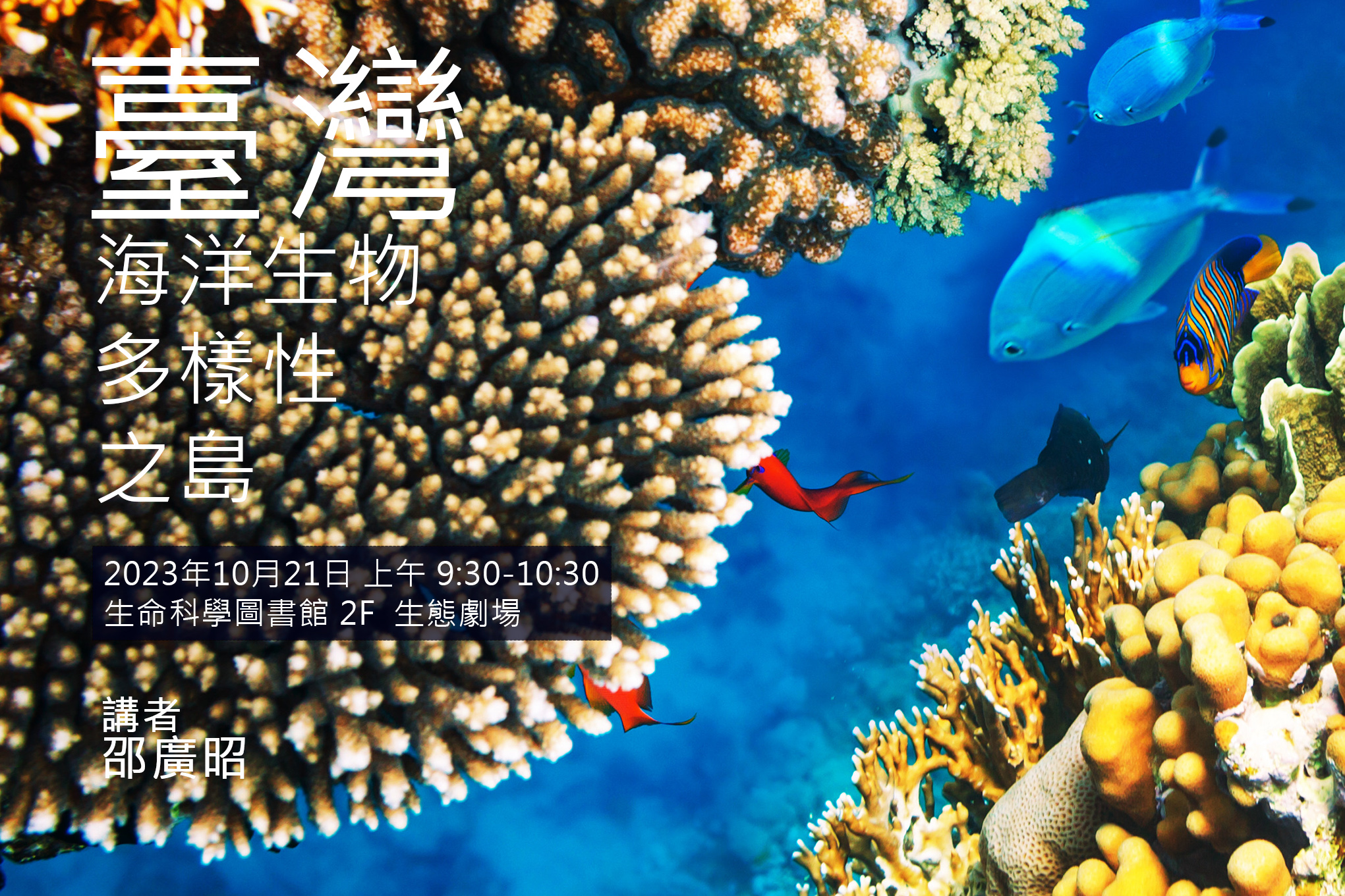 Fish Diversity in the Open Ocean near Taiwan