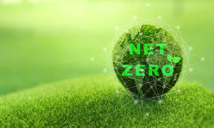 Net-Zero and Sustainable Development Goals, No Way, Yes Way?