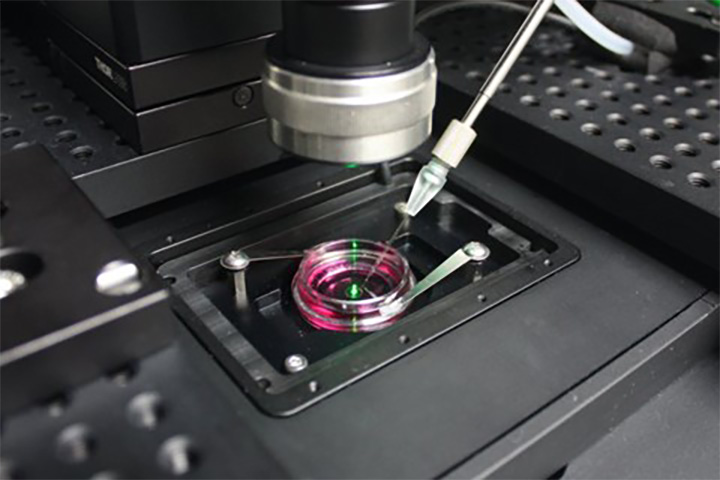 Seeing very small nanoparticles through light interference