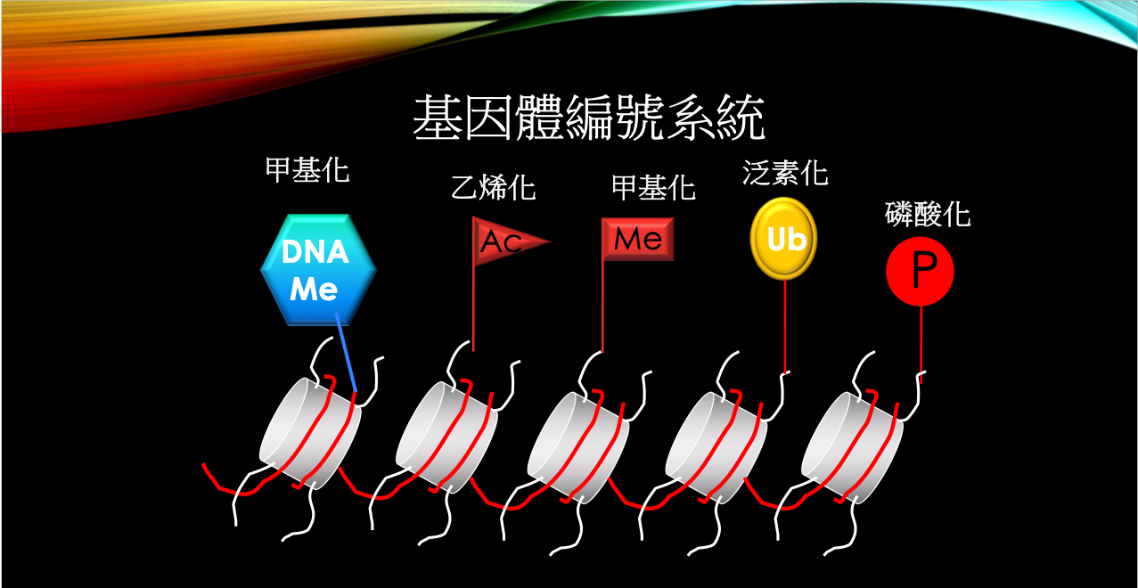 A Layman's View of the Genomic Index